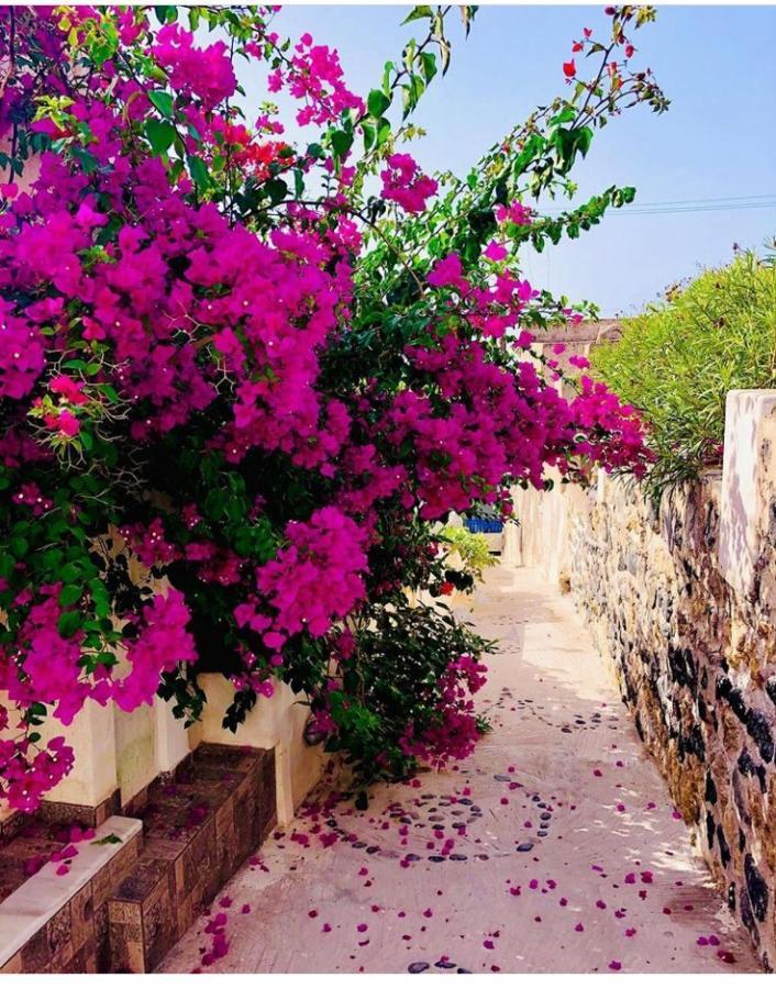 Loukas Kontos Traditional House Emporio  Esterno foto